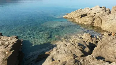 an aerial view of the water near a rocky shore at Les Sables Blancs de la Liscia in Calcatoggio