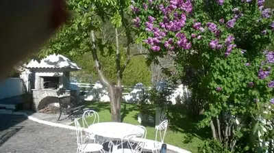 a garden with chairs and a tree with purple flowers at Villa Emmony in Santo-Pietro-di-Venaco