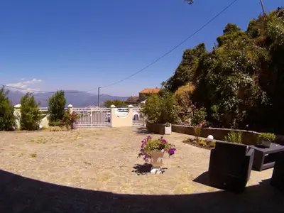 a patio with plants and flowers in a yard at Villa Emmony in Santo-Pietro-di-Venaco