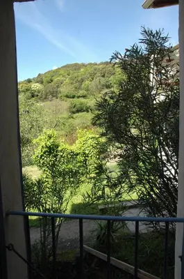 a view of a hill from a balcony with a tree at A Cittadella in Vico