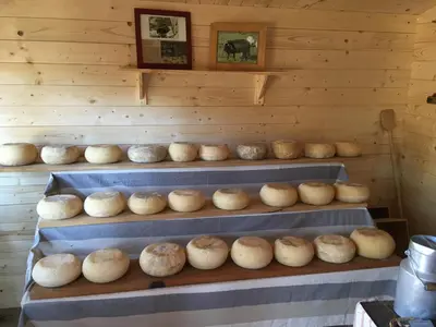 a room filled with lots of different types of bread at Maison de Campagne in Sarragia