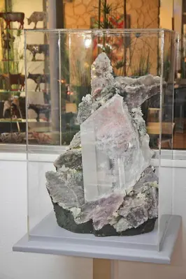 a rock in a glass case on a shelf at Isola Hôtel in Borgo