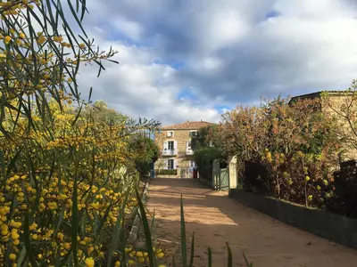 a garden with yellow flowers and a house in the background at Les Figuiers in Porto Pollo
