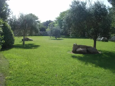 a field with trees and rocks in the grass at Villa Cartarana in Bonifacio