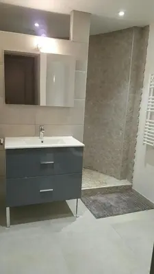 a bathroom with a sink and a shower at T2 de 45 m2 sur Porticcio avec Jardin in Porticcio
