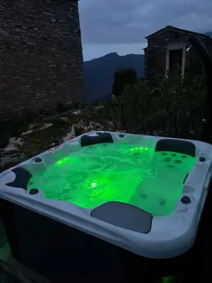 a hot tub filled with green water in a yard at Domaine Colonna-Santini Gîte avec Piscine & Spa, Vue Mer et Montagnes in Porri