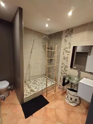 a bathroom with a shower with a toilet and a sink at les JARDINS de PRATAVONE in Aja dʼOnica