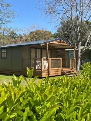 a home with a large deck and a tree at Ri-Veu corse dans camping marina di sorbo in Sorbo-Ocagnano