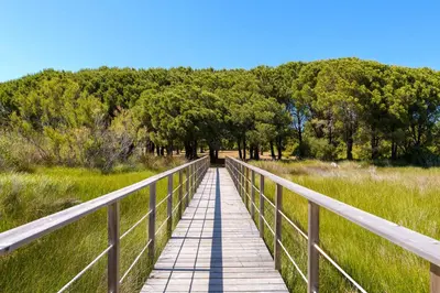 a wooden bridge over a field with trees in the background at U Paesolu in Sainte-Lucie de Porto-Vecchio