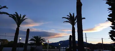 a group of palm trees in front of a sunset at Hotel Poretta in Lucciana
