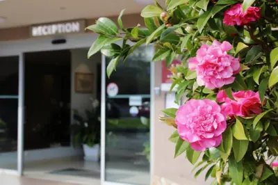 a bunch of pink flowers in front of a building at Hotel Poretta in Lucciana