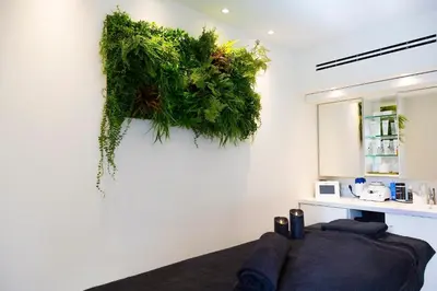 a room with a plant hanging on the wall at Hotel Centre Nautique in Bonifacio