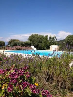 a swimming pool with purple flowers in the foreground at Hotel Celine in Coti-Chiavari