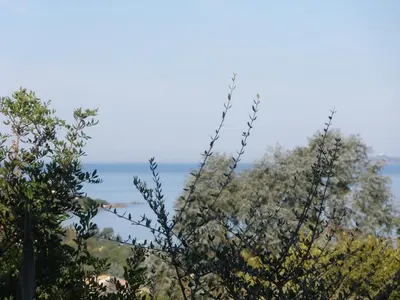 a view of the ocean from behind some trees at Hotel Celine in Coti-Chiavari