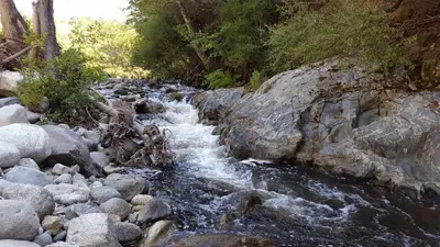 a stream of water with rocks and trees at Rez de Villa in Loreto-di-Tallano