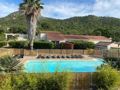 a swimming pool with a palm tree and a house at Marina Di Fautea in Olmucciu