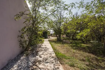 a path with trees on the side of a building at Sapa Di Cala in Bonifacio