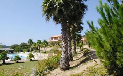 a group of palm trees next to a swimming pool at Résidence Odalys Stella di l'Aria in Tizzano