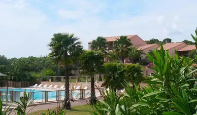 a resort with a swimming pool and palm trees at Résidence Odalys Stella di l'Aria in Tizzano