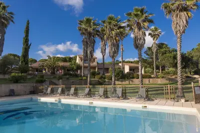 a swimming pool with chairs and palm trees at Résidence Odalys Stella di l'Aria in Tizzano