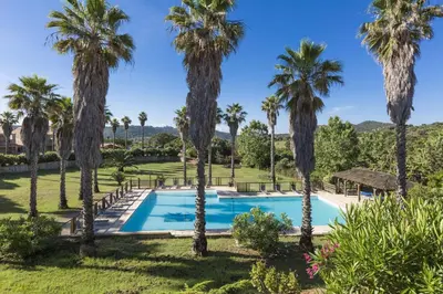 a swimming pool surrounded by palm trees at Résidence Odalys Stella di l'Aria in Tizzano