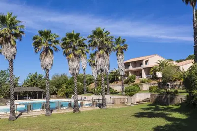a group of palm trees next to a swimming pool at Résidence Odalys Stella di l'Aria in Tizzano