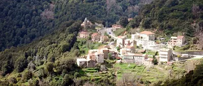 a small village on a hill with trees at Auberge de Jeunesse Chez Mc Donald in Zevaco