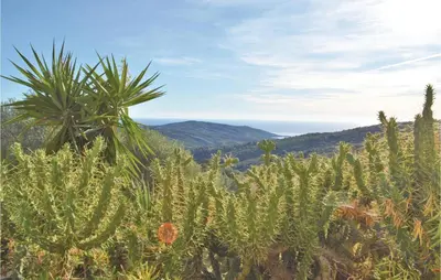 a field of cactus with a palm tree in the background at Lovely Apartment In Serra Di Ferro in Serra-di-Ferro