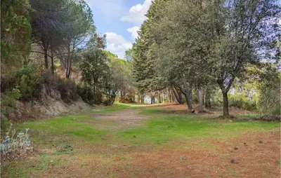 a dirt road with trees on either side at Two-Bedroom Holiday Home In Calcatoggio in Calcatoggio