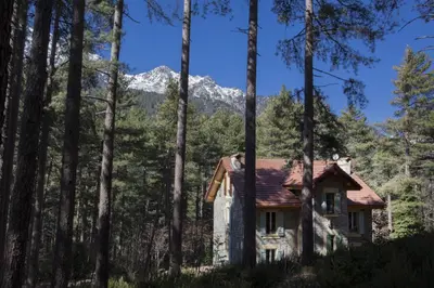 a house in the woods with a mountain in the background at Casa Alta in Vizzavona