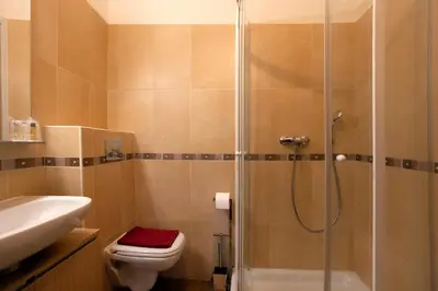 a bathroom with a shower and a toilet and a sink at Casa Alta in Vizzavona