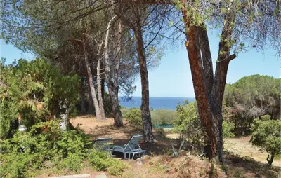 a chair and a picnic table in the woods at Three-Bedroom Holiday Home In Calcatoggio in Calcatoggio
