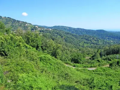 a view of a green hillside with a road at Apartment Villa Volpajola by Interhome in Cervione