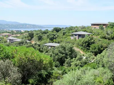 a view of a forest of trees with houses at Holiday Home Bruyères 1 by Interhome in Porticcio