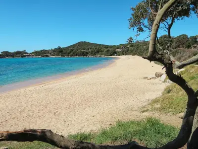 a sandy beach with trees and the ocean at Holiday Home Bruyères 1 by Interhome in Porticcio