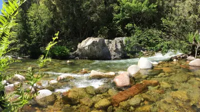 a stream with rocks in a river with trees at Bas De Maison in Olivese