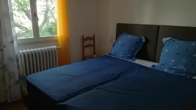 a bed with blue sheets and pillows in a bedroom at Rinasce In Corsica in Poggio-di-Venaco