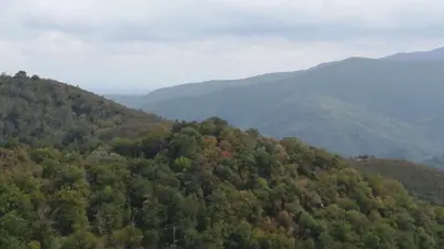an aerial view of a forest with mountains in the background at Rinasce In Corsica in Poggio-di-Venaco