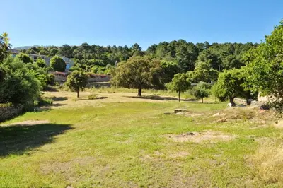 a field of grass with trees in the background at Maison chaleureuse à Bonifacio, 90 m², piscine partagée in Conte