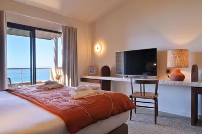 a hotel room with a bed and a desk and a television at Hôtel Abbartello in Olmeto