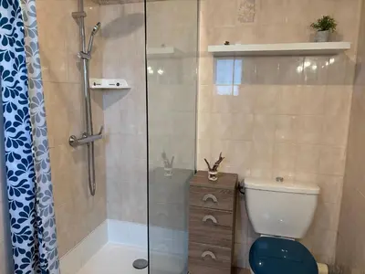 a bathroom with a shower and a toilet at Cardellini 4 in Sari Solenzara
