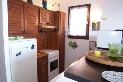 a kitchen with a white refrigerator and a counter top at Asphodele in Tarcu