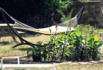 a hammock in a garden with a plant at A Luna Rossa in Coti-Chiavari