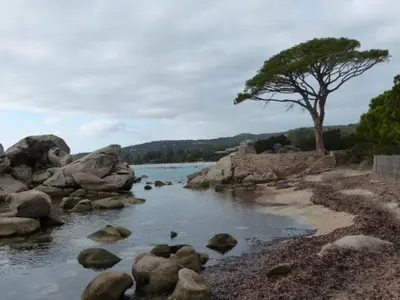 a river with rocks and a tree on the shore at Luna verde in Porto-Vecchio