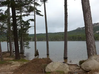 a person standing in the water next to a lake at Luna verde in Porto-Vecchio