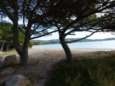 two trees on a beach next to a body of water at Luna verde in Porto-Vecchio
