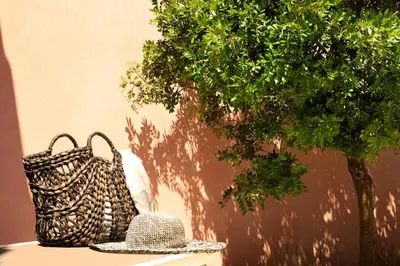 a straw purse and a hat next to a tree at Résidence Marina Rossa in Porto-Vecchio