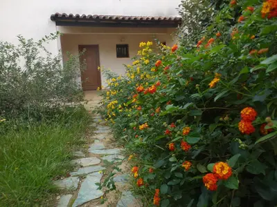 a garden with orange flowers in front of a house at Domaine Valdaronu in Sainte-Lucie de Porto-Vecchio