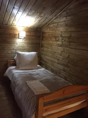 a bed in a room with a wooden wall at Gîtes les Chalets Vezzani Spa in Vezzani