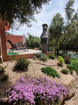a garden with purple flowers and a bird house at Mini-villas Célia à BONIFACIO in Bonifacio
